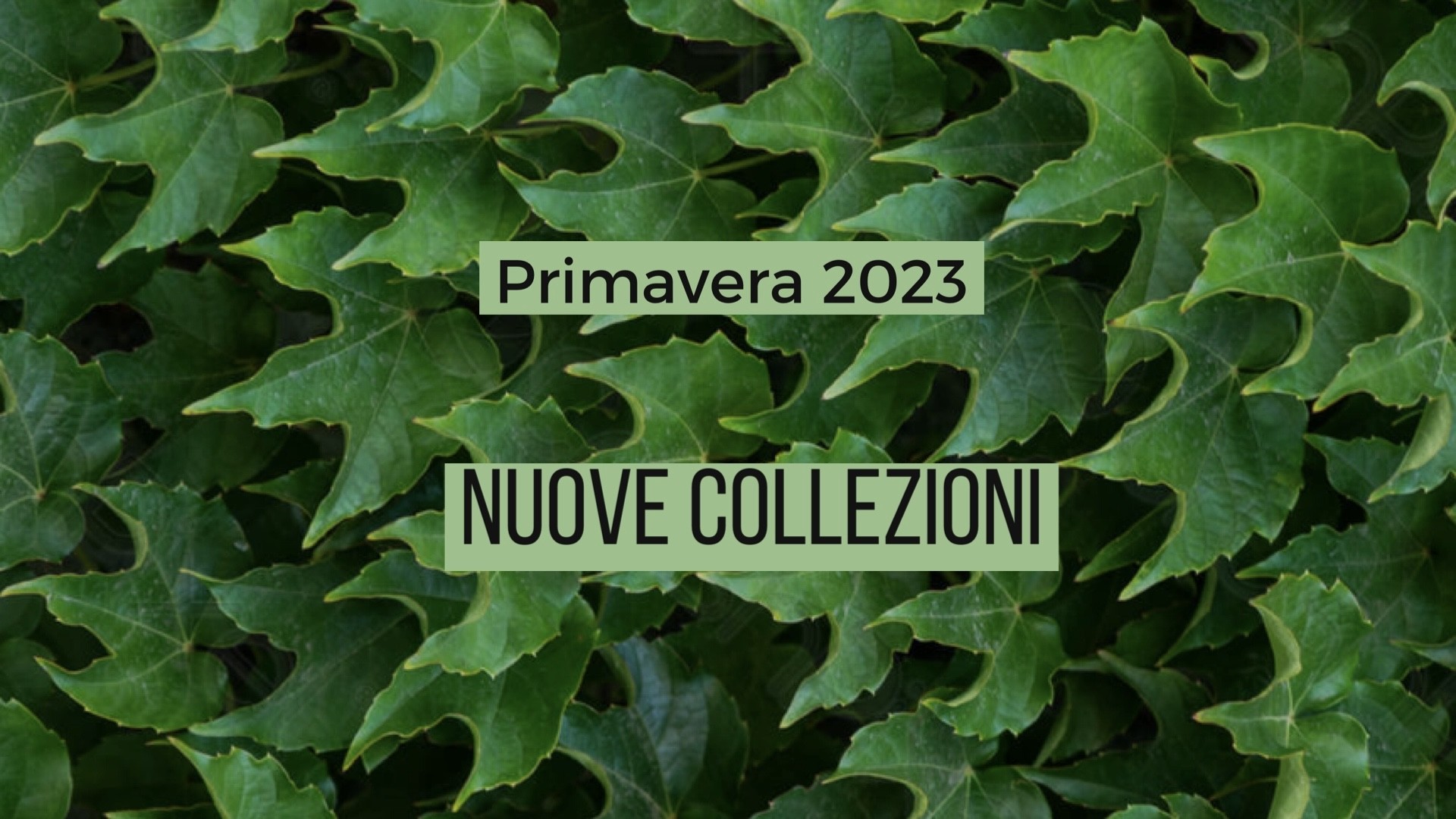 Maria Cristina Vendita online calzature ed accessori di lusso 